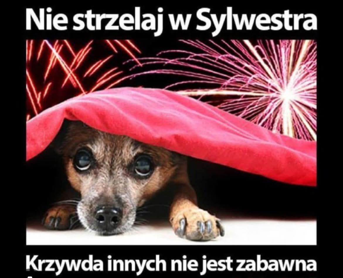 Dziesiątka nie strzela w sylwestra!